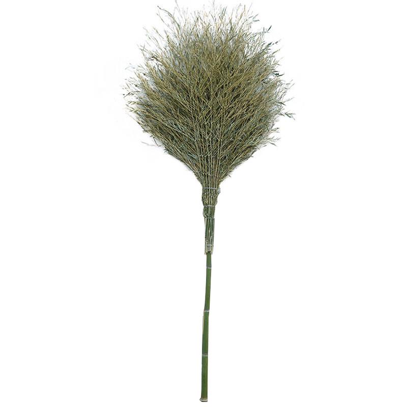 

Baishengnu Outdoor Broom
