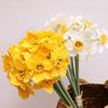 Decorațiuni pentru casă – Flori decorative şi coroane de flori