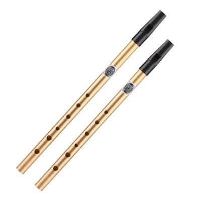 Irish & International Instrument Clear Sound Quality Tin Whistle Whistle Tube Beginner-Friendly Tin Penny Whistle For