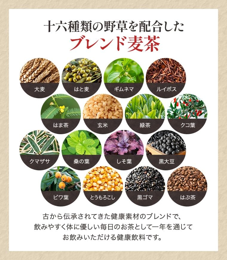 16 Soken Barley Tea 24 Packs 40 Bags Health Tea Tea Pack Germinated Barley Hato Mugi Rooibos Tea 16 Types Blend Tea 1C/T