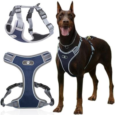 Hunde – Hundehalsbänder & Leinen