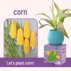 Kids' Chili Planting Pot - Primary School Gardening Kit