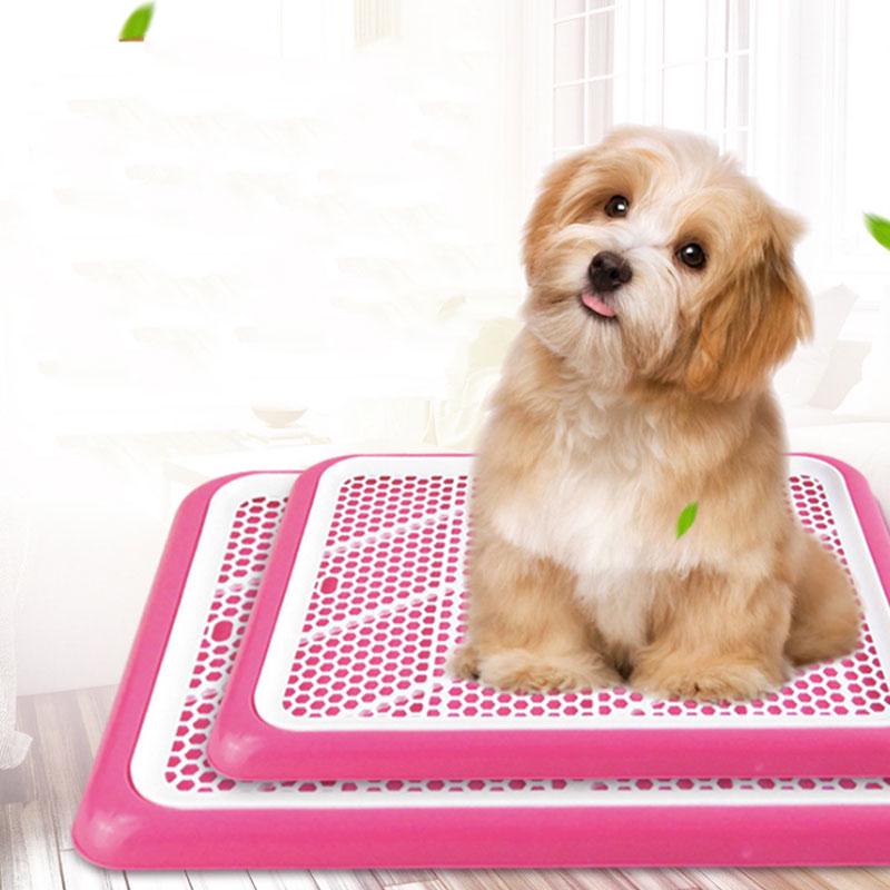 dog potty training tray