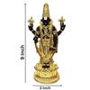 Lord Tirupati Balaji Idol Murti for Mandir | Pooja Room Lord Vishnu Shree Venkateswara Swamy Statue God Balaji Home Decor