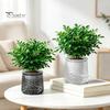 Thickened Imitation Glass Pots Self?Watering Planter Pot, Thick Transparent Flower Embossed Modern Relief Pattern Planters Decorative Indoor