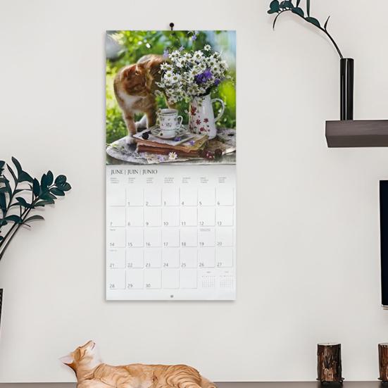 Kočky na venkově 2026 Kalendář 12 měsíců Leden až Prosinec Měsíční Týdenní Plánovač