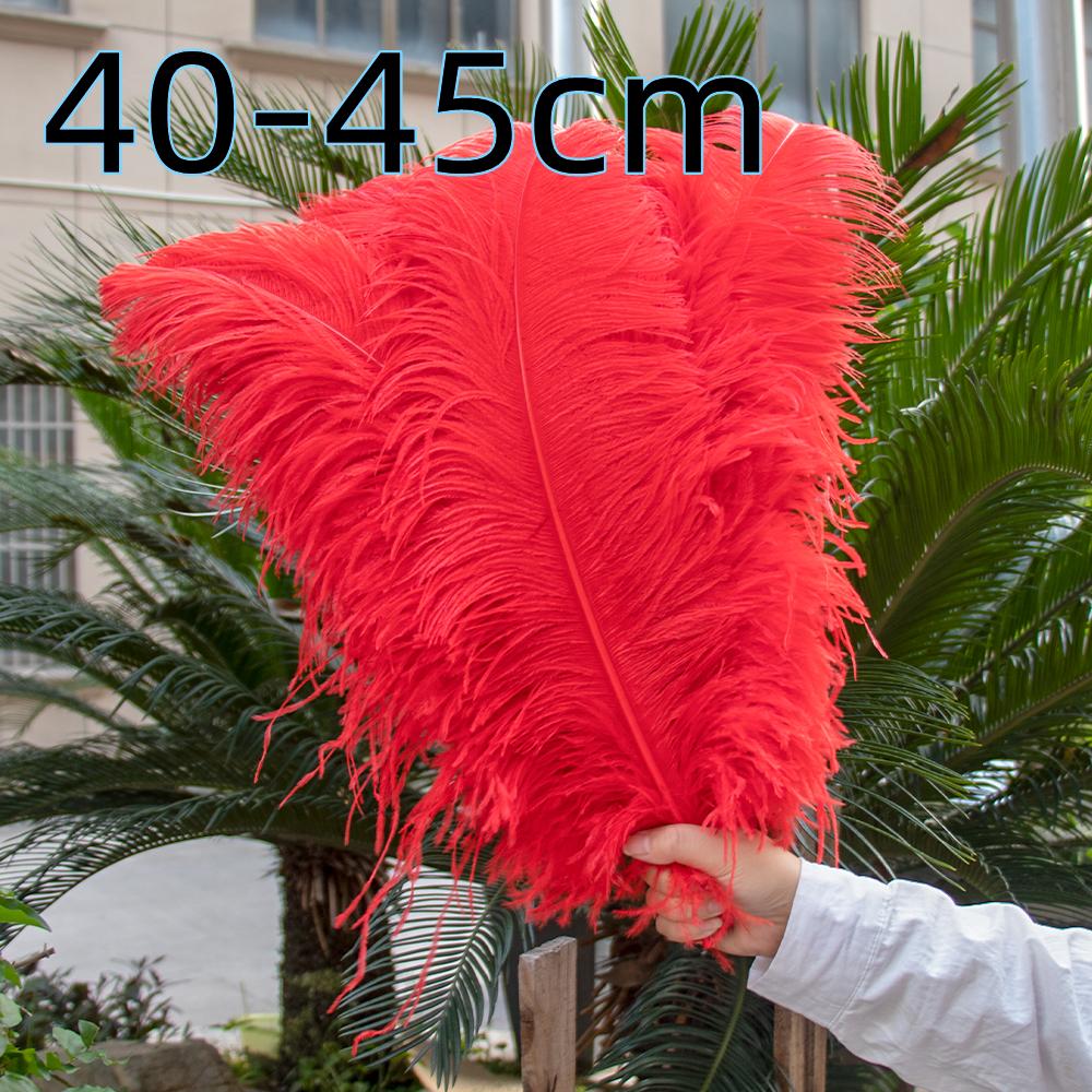 Natural Ostrich Feathers 25-30cm 30-35cm Wedding Decoration Table Centerpieces Carnival Plumas Decor 10pcs/bag Colored DIY Plume