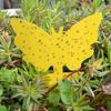20Pcs Flying Gnat Catcher Insect Dual Sided Yellow Sticky Trap Indoor Outdoor