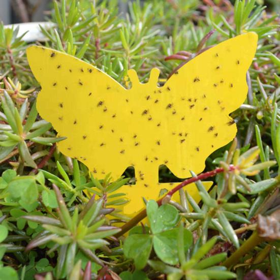 20Pcs Flying Gnat Catcher Insect Dual Sided Yellow Sticky Trap Indoor Outdoor