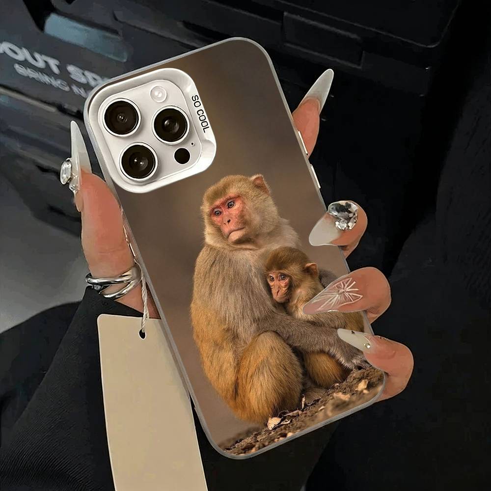 C-Cute Funny Monkey Phone Case For iPhone 11 12 13 14 15 16Pro Max Plus white Sliver  Phone Cover