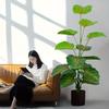 43" Artificial Palm Tree With 15 Green Leaves - Outdoor UV Resistant Artificial Plant For Various Room Types, Does Not Include Pot
