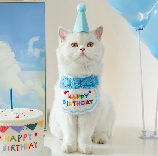 2026 Pet Birthday Hat Scarf Set Adjustable, Cat/Dog Birthday Supplies Mini Pet Saliva Towel Cat/Dog Supplies