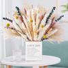 Feixe de Capim dos Pampas, Capim Rabo de Coelho, Juncos, Capim dos Pampas – Decoração Seca Fofa para Casa