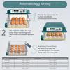 16 Eier Inkubatoren für Huhn Ente Gans Taube Wachtel Automatische Brutausrüstung Automatischer Wasserspender Eierwender EU-Stecker