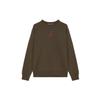 Sweatshirts Men's Olive Crew Neck Moderate Regular HV1750-366