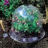 6PCS Reusable Garden Plant Cloche Plastic Dome Protective Seedling Covers for Outdoor Garden