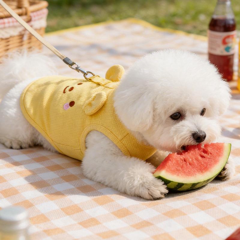 new dog clothes spring clothes summer thin breathable bear teddy vest puppy pet clothes