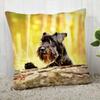 Pillow Cover Customize Schnauzer Pillow Case Modern Home Decorative Pillowcase For Living Room 45X45Cm,40X40Cm A.4.29