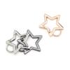 Stainless Steel Spring Snap Hook Carabiner,Stainless Steel Clip Star Shape for DIY Jewelry Making Keychain Bag