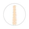 K-Palette - 1 Day Tattoo Fuwamayu Eyebrow Concealer