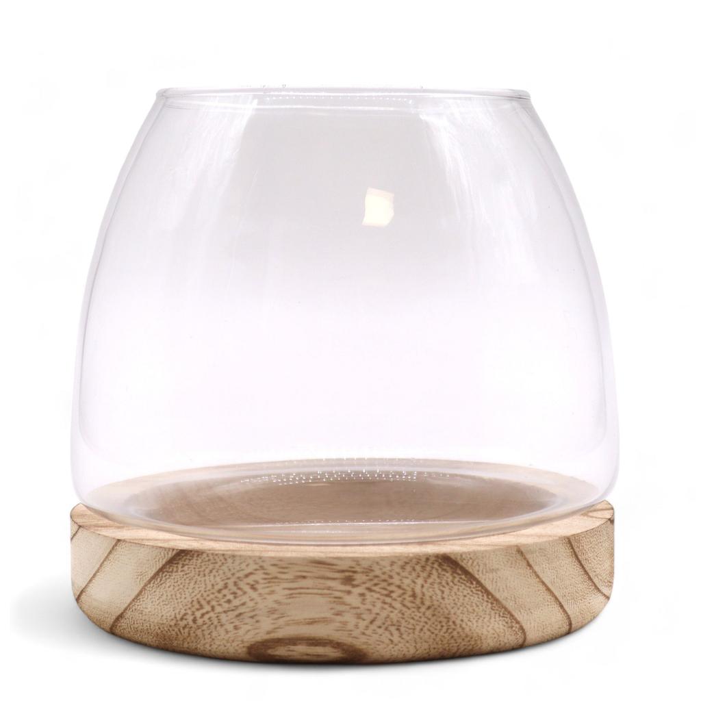 Terrarium on Natural Tung Wood, Medium