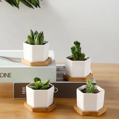 Vaso quadrato geometrico in ceramica bianca per bonsai, piccoli vasi per piante grasse, vasi moderni per cactus, vassoio in bambù