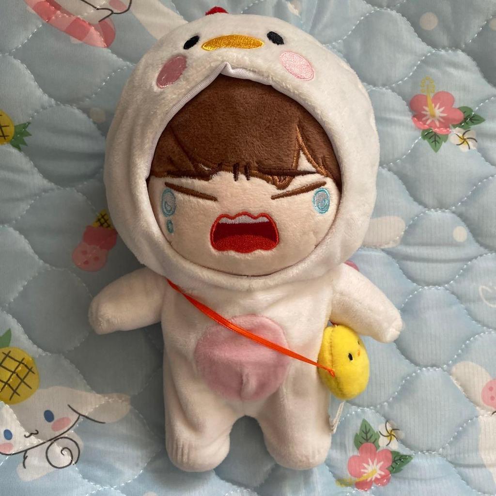 Used SEVENTEEN Sebuchi Hoshi Plush Toy