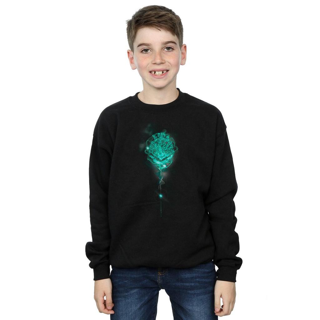 HARRY POTTER Jungen Sweatshirt mit Hogwarts-Wappen, Nebel