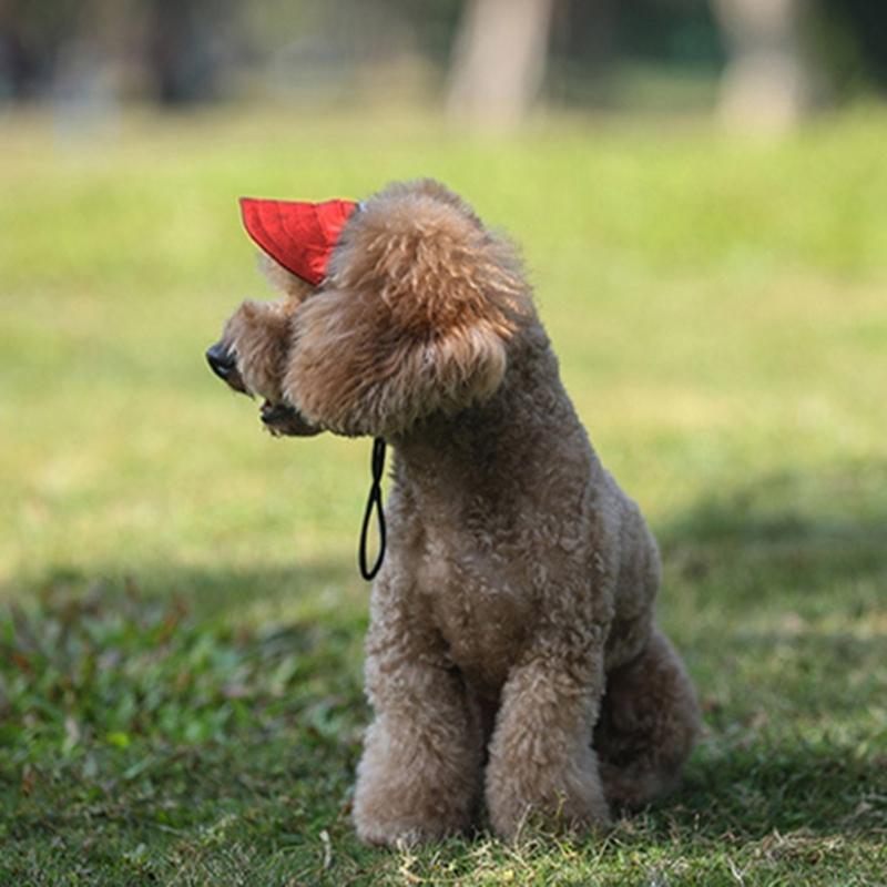 Cappellino Stiloso per Cane 4 Misure Disponibili Design Traspirante Cappellino Parasole per Animali Domestici Ideale per Passeggiate Quotidiane e Giochi Spiaggia