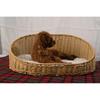 For Summer Cool Handwoven PP Plastic Rattan Resin Wicker Cat Dog Bed House Net Waterproof Cooling Oval Shape Woven Basket