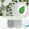 200Pcs Invisible Plant Climbing Wall Fixture Clips Rattan Vine Bracket Self-adhesive Plant Fixing Hook Buckle Leaf Holder Garden