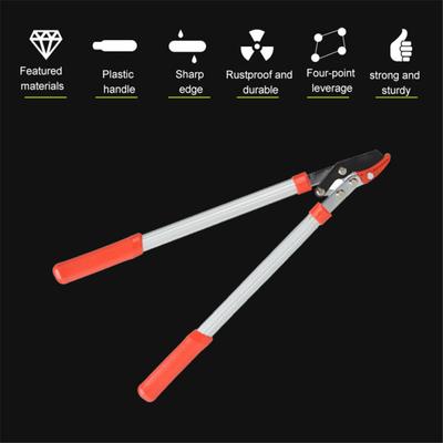 Pruning Tools Scissors Tree Ratchet Lopper Pruner Extending Garden Cutter Branch Shear Garden Hand Tools Gardening
