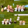 Cute Mini Resin Dog Dolls 12 Style Handicraft Ornaments Ideal For Micro Landscape Decor