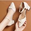 Spring and Autumn new thick heel women's shoes pointed European and American shallow mouth fashion mother women's shoes bow single shoes Korean versio