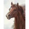 New 5D DIY Diamond Painting Horse Diamond Embroidery Animal Cross Stitch Full Round Drill Crafts Home Decor Manual Gift