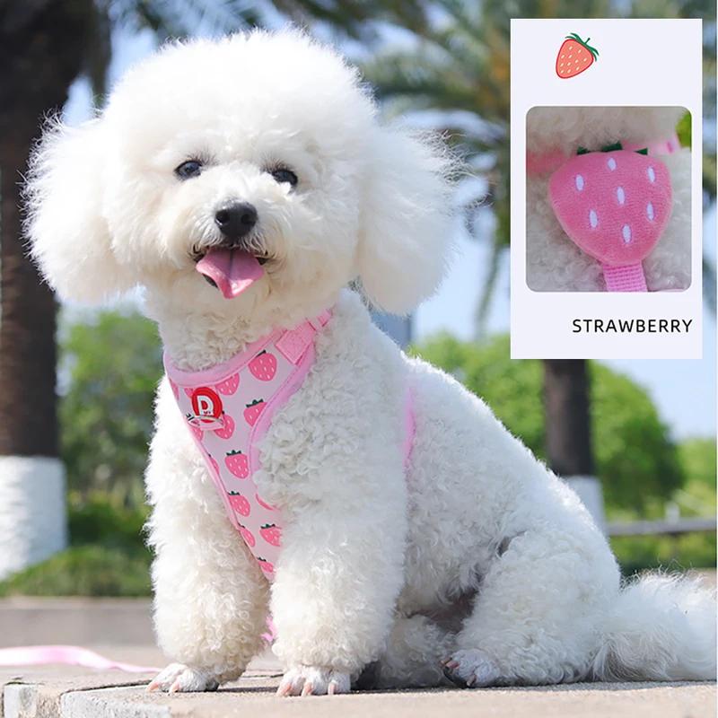 Cute Fruit Dog Cat Harness & Leash Set Adjustable Soft Puppy Kitten Walking Gear Breathable Summer Outdoor Accessories