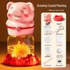 DIY Crystal Planting Science Kit for Primary Students - Educational Experiment Toy