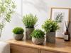 "Tuokus" Artificial Plant Set of 4 - Artificial Flowers, Potted Plants, Photocatalytic, Fake Greenery, Stylish Interior Decor, Green Decoration, Never