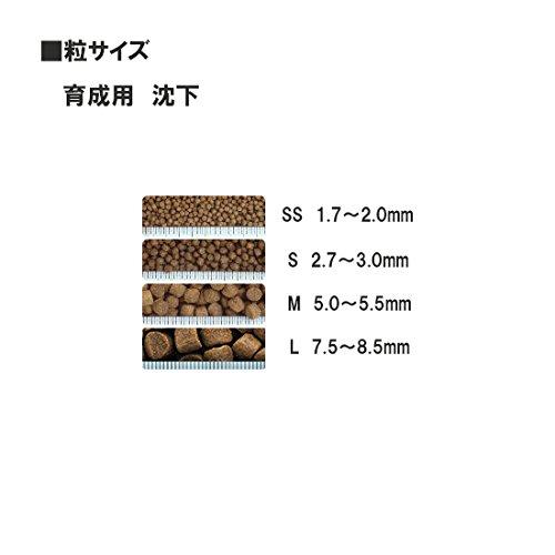 Saki Hikari SS Submerged Seedlings for Cultivation, 1kg