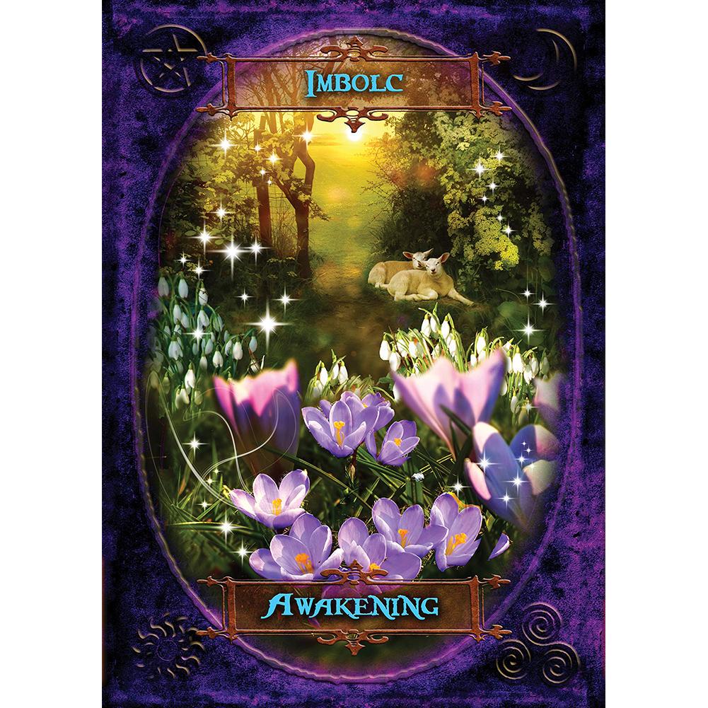 Witches' Wisdom Oracle Cards