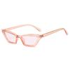 Small Oval Frame Sun Glasses Retro Summer Sunglasses for Women  Fashion Shades Polarized Eyewear UV400 Sunglasses