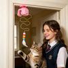 Lifting Retractable Cats Toy, Interactive Electronic Teaser With Random Up & Down Movement, USB Rechargeable Hanging Door Cats Toy For Indoor Cats