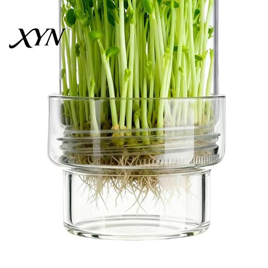 Pesticide-free Sprouts Kit Sprouting Jar Kit, Wide Mouth Glass with Sprout Lid, Blackout Enzyme-rich Sleeve, Plant Growing for Home Gardeners