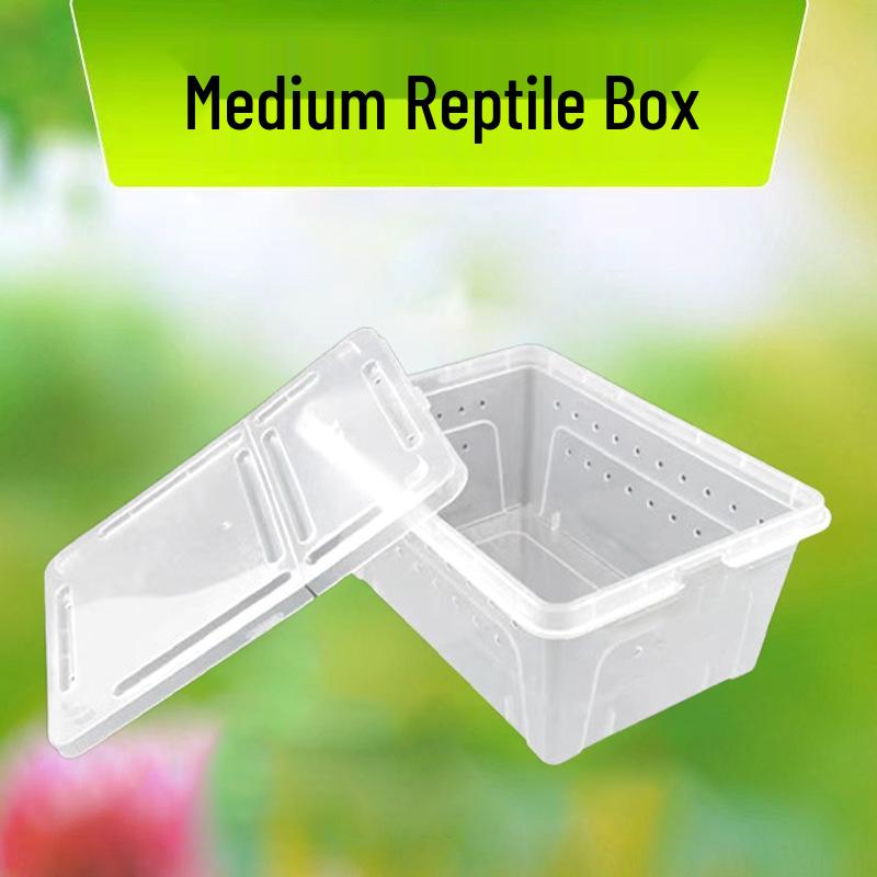 Reptile and Insect Transport & Breeding Box for Turtles, Lizards, Hermit Crabs, & Beetles.