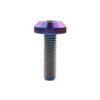 Ruifu Titanium Alloy Hexagon Socket M6x12 15 20 25 30