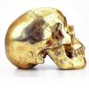 Skull Accessories Gold Skull Bank Cute Skull Decor Halloween Decoration Money Storage Home Decor Item Golden 1Pcs - DSW