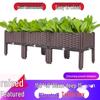 Balcony Vegetable Planter Box