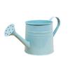 Creative Green Watering Can for Plants and Succulents - Decorative Spray Bottle for Gardening and Flower Arranging