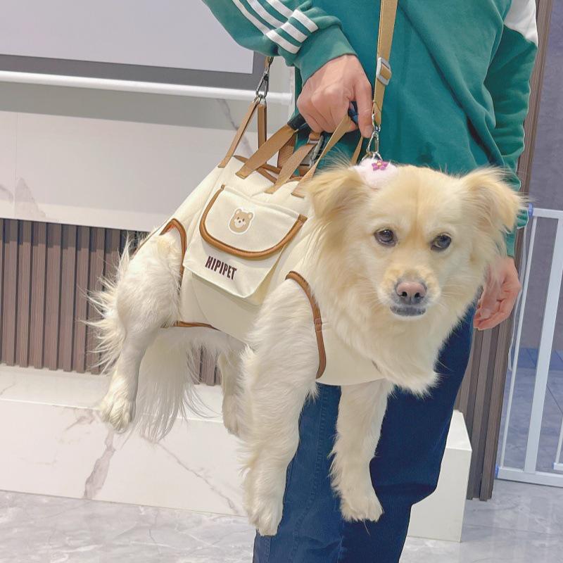 Kleine Rasse Cartoon Umhänge-Haustiertragebeutel