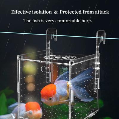Fische & Meerestiere – Aquarienpflege